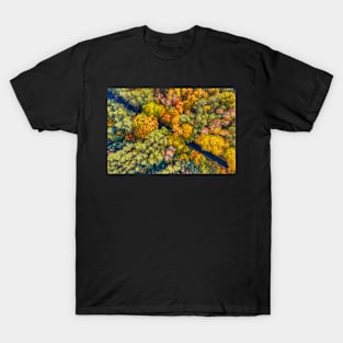 Aerial view of road through colorful autumn forest T-Shirt